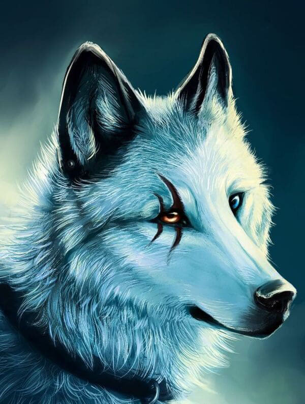 Ảnh chó sói ngầu đẹp mắt nhất