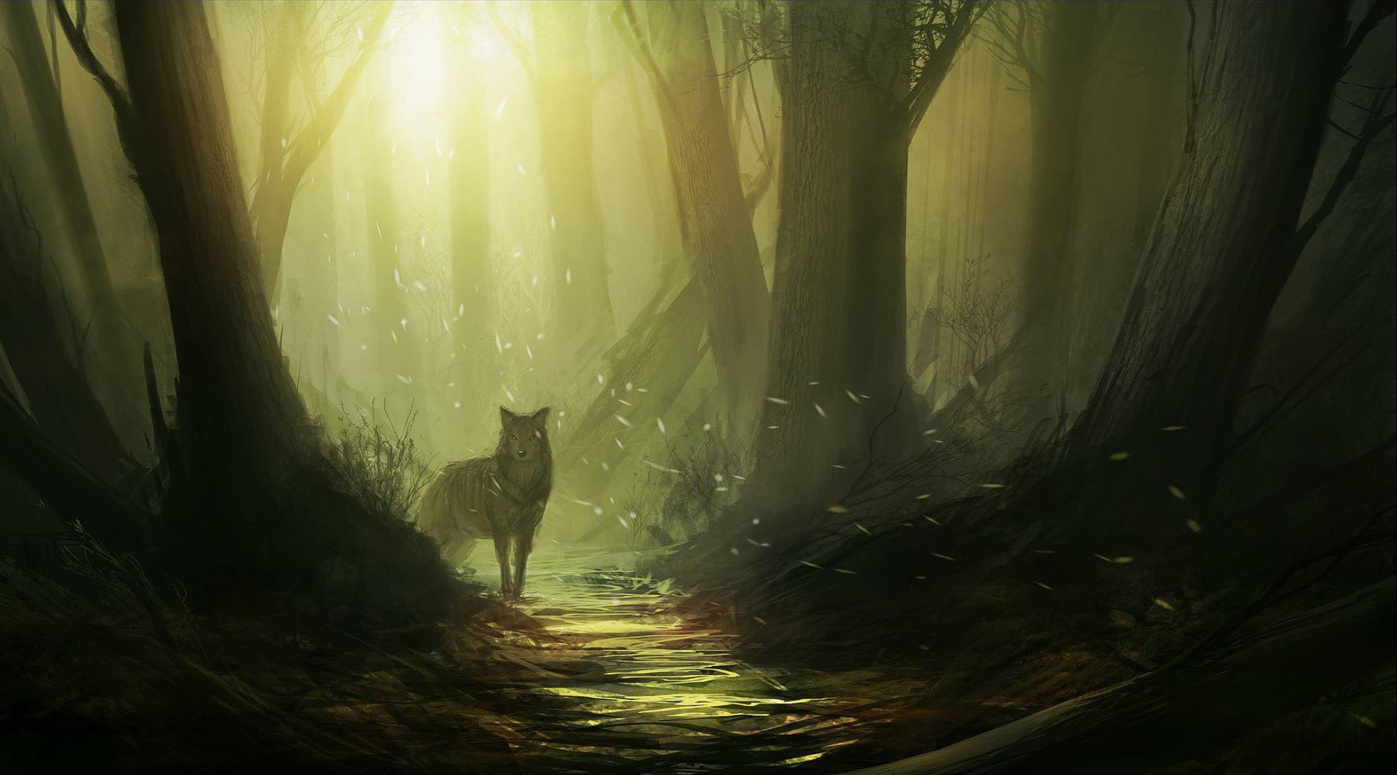 Ảnh chó sói trong rừng