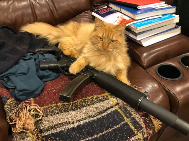 Ảnh chế mèo cầm súng cực chất