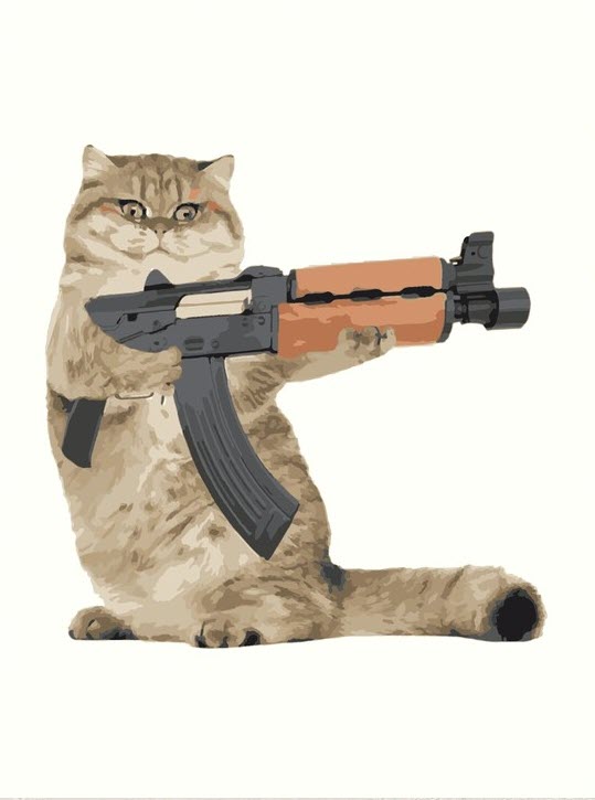 Ảnh chế mèo cầm súng đáng yêu nhất