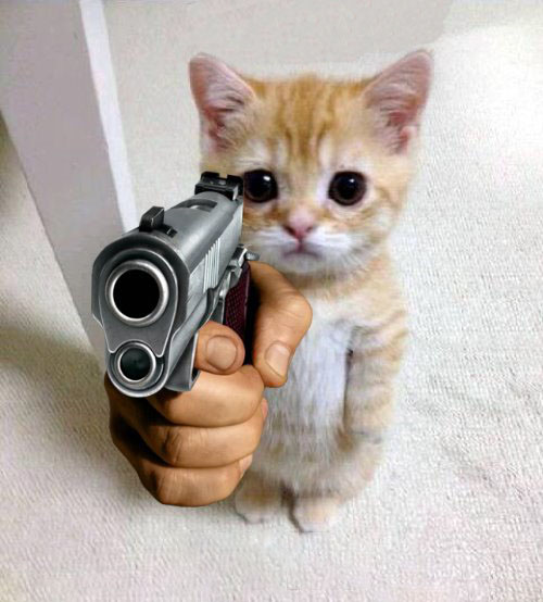 Ảnh chế mèo cầm súng lục