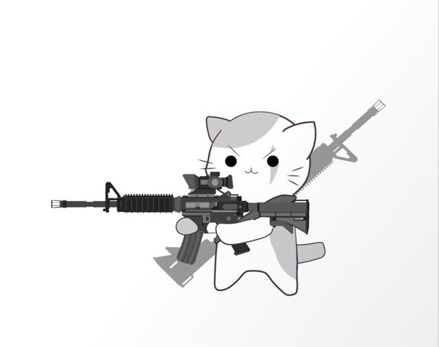Ảnh chế mèo cầm súng M4A1