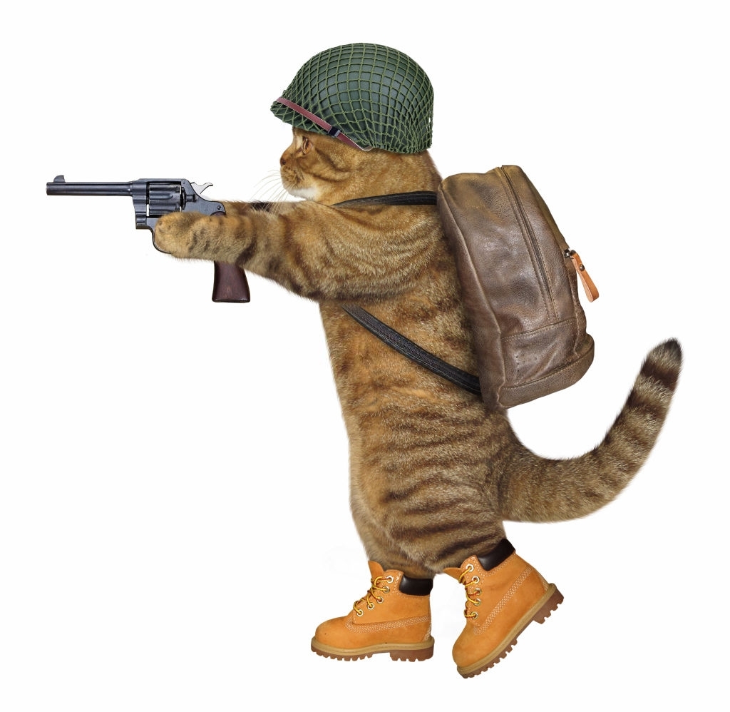 Hình ảnh chế mèo cầm súng colt xoay
