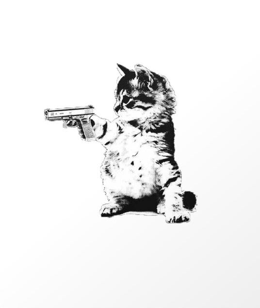Hình ảnh chế mèo cầm súng