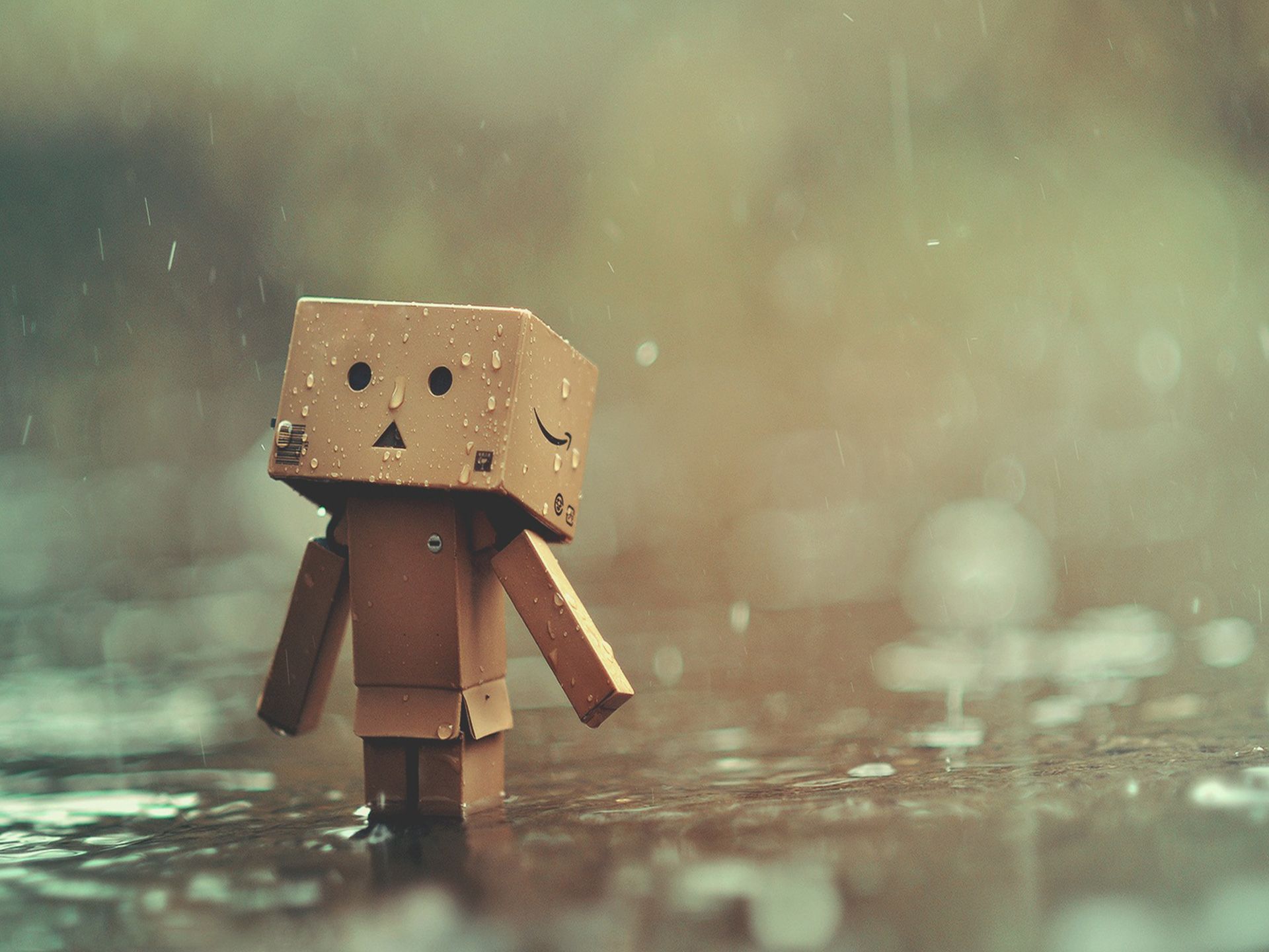 Ảnh Danbo buồn dưới trời mưa