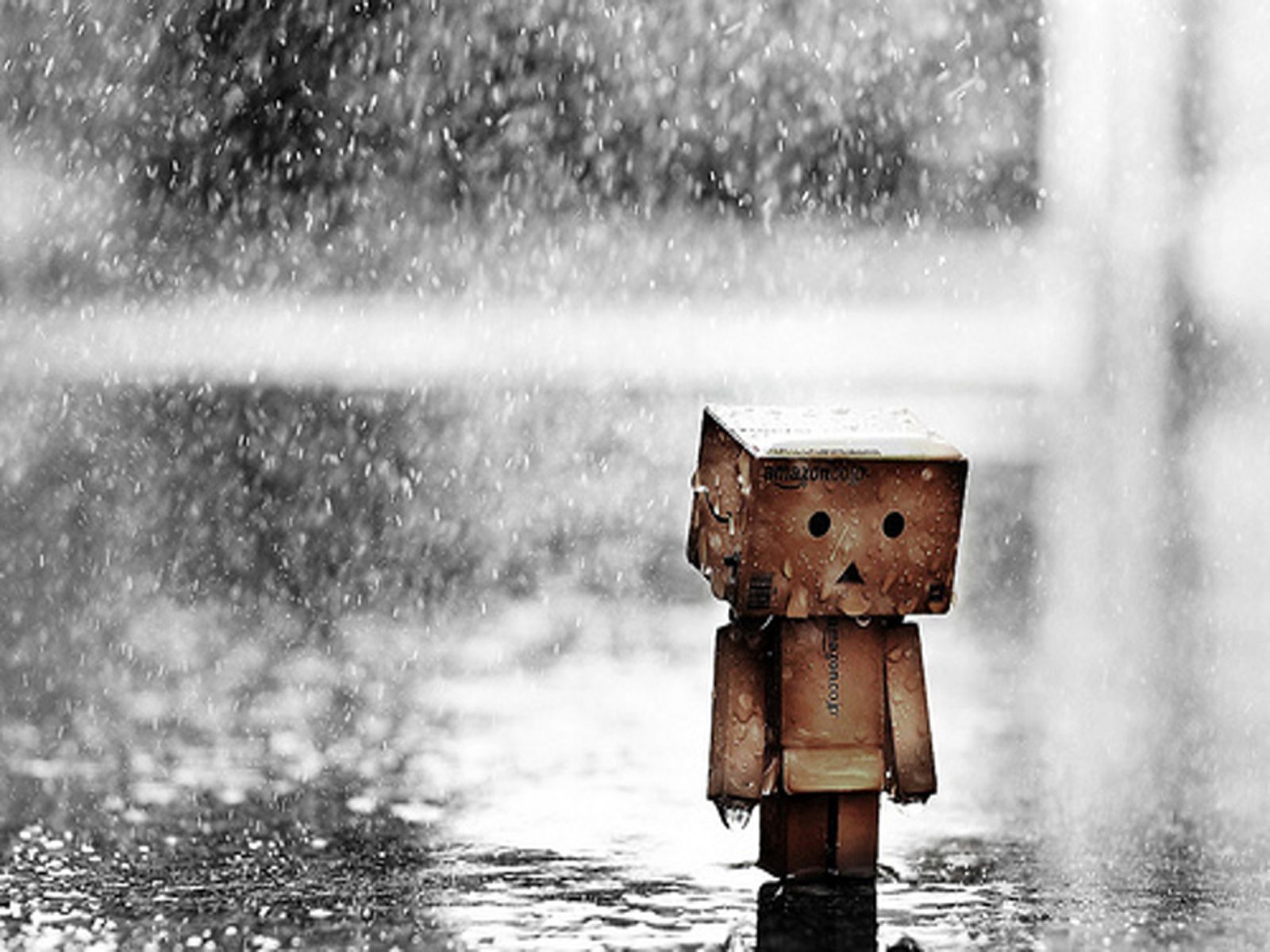 Ảnh Danbo buồn khóc dưới mưa