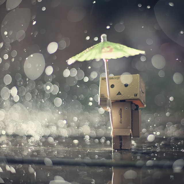 Ảnh người gỗ buồn trong mưa tuyệt đẹp nhất