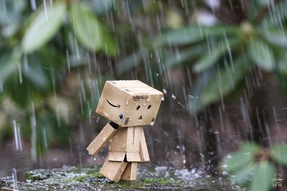 Ảnh người gỗ khóc trong mưa tuyệt đẹp