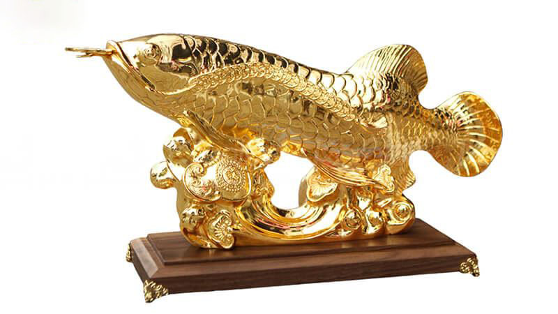 Ảnh tượng cá rồng vàng