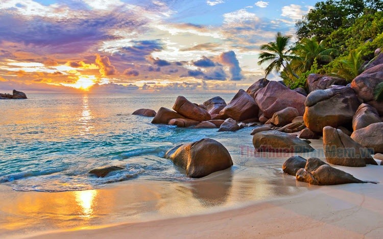 Xem Ngay Bỏ túi 10 hình nền cảnh biển đẹp tốt nhất hiện nay  Thiết Kế  Xinh