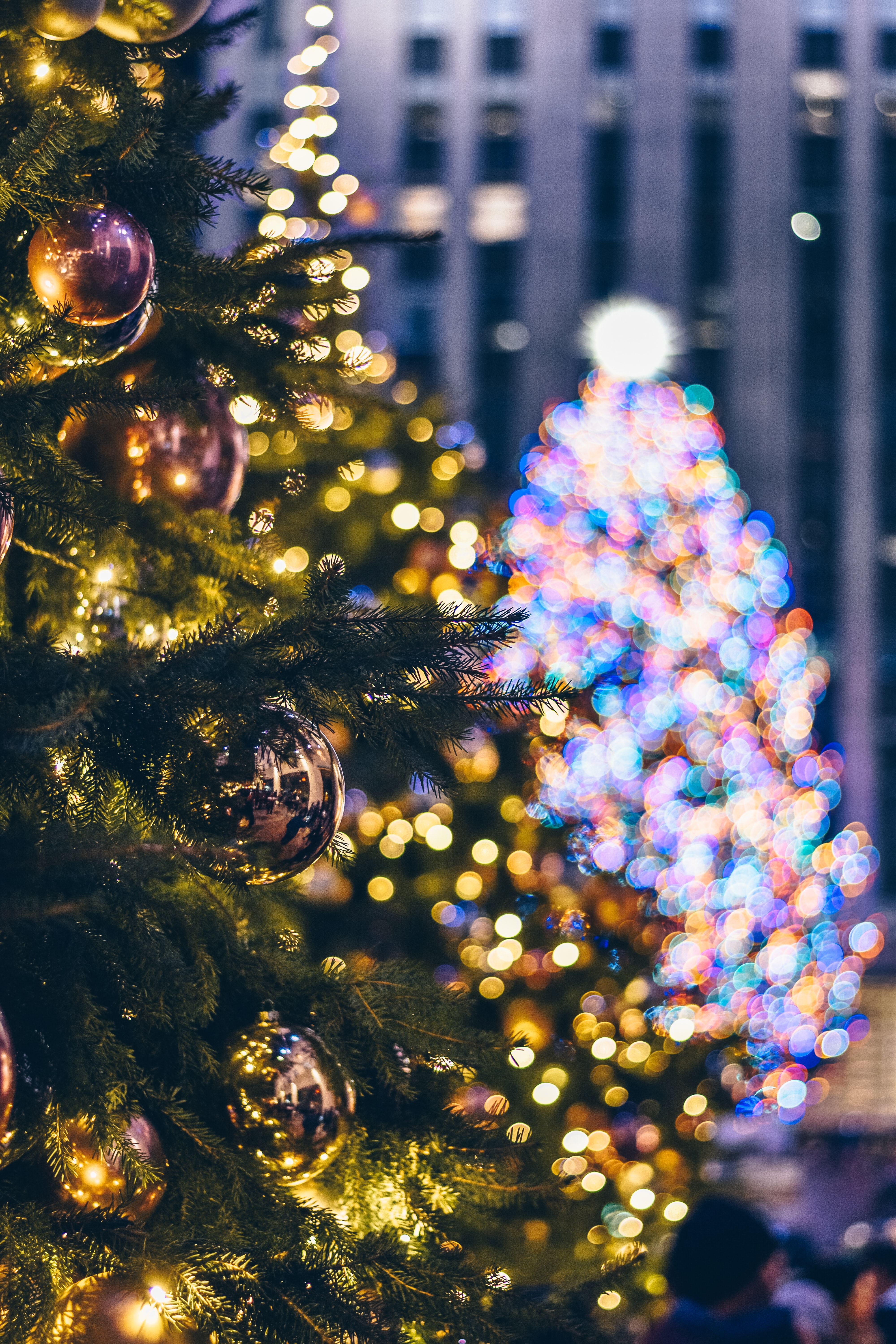 Cây thông Noel là biểu tượng không thể thiếu trong mỗi kỳ nghỉ Giáng sinh. Hãy nhìn vào hình ảnh này và cảm nhận sự trang trọng và đẹp mắt của cây thông Noel trong ngày lễ.