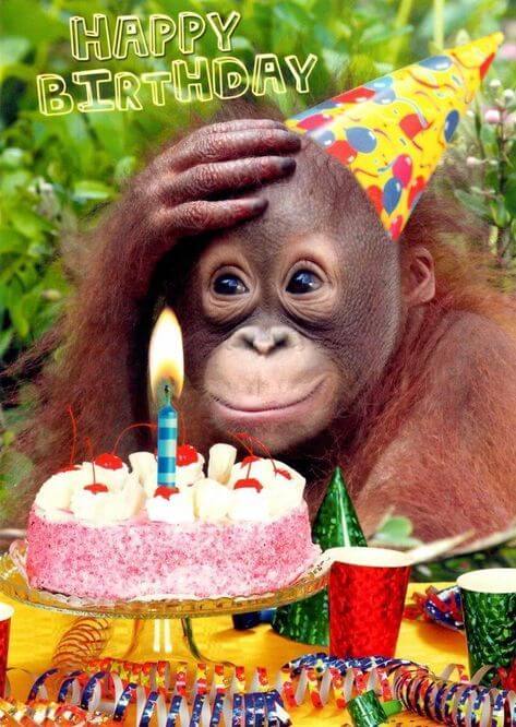 Hình ảnh chúc mừng sinh nhật bá đạo hài hước chế vui troll bựa