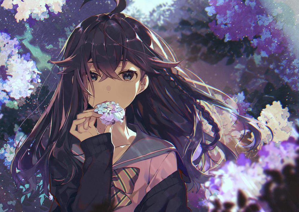 Ảnh hoa cẩm tú cầu Anime buồn đẹp