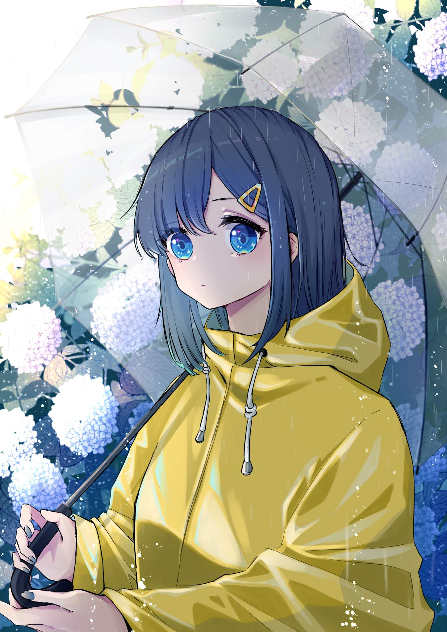 Ảnh hoa cẩm tú cầu Anime trời mưa