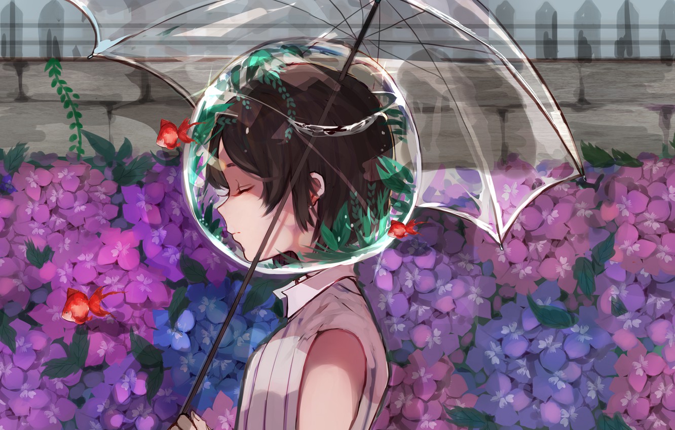 Ảnh vườn hoa cẩm tú cầu tím Anime
