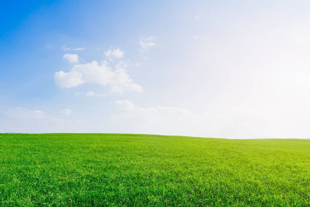 Background bầu trời và cỏ xanh