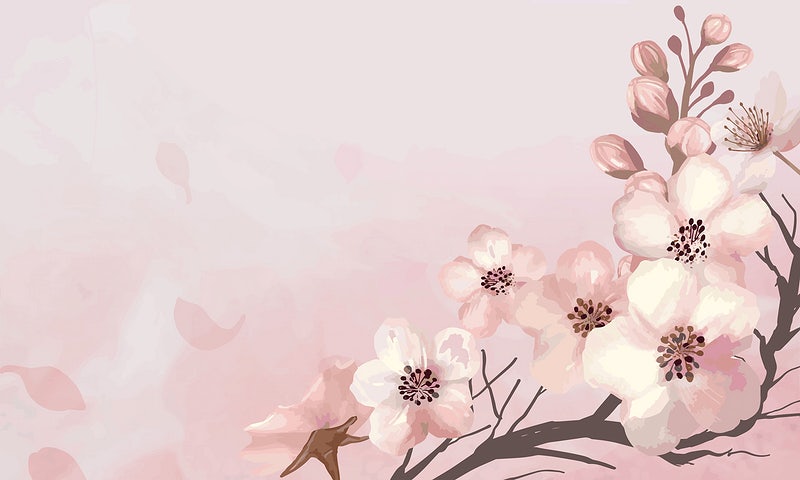 Background hoa Anh Đào tuyệt đẹp