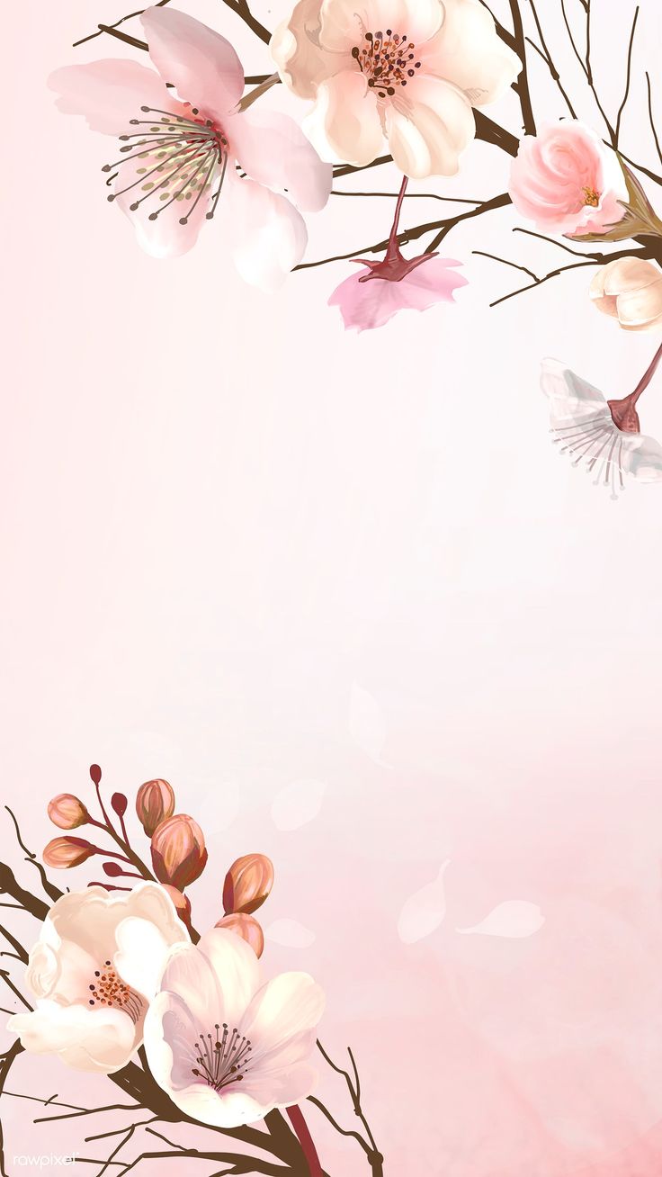 Background hoa anh đào hồng đẹp nhất cho thiết kế