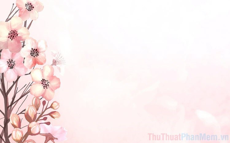 Background hoa Anh Đào tuyệt đẹp