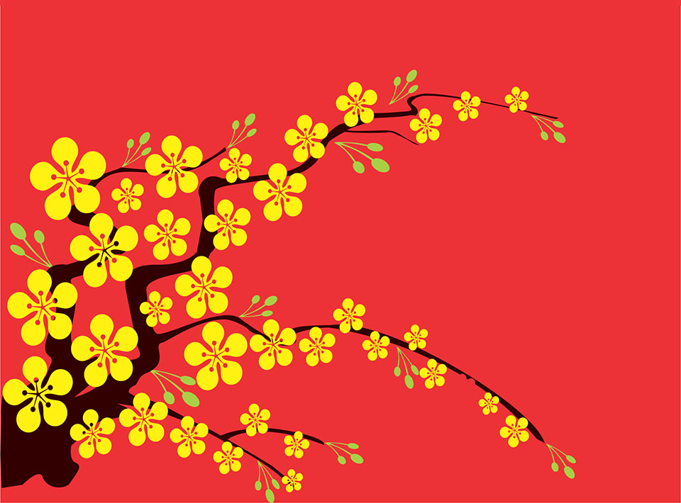 Background Hoa Mai vàng đơn giản