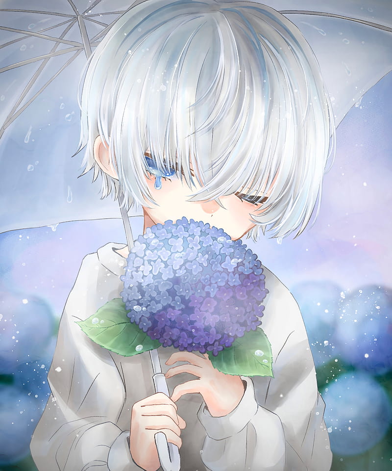 Hình ảnh hoa cẩm tú cầu Anime buồn đẹp nhất