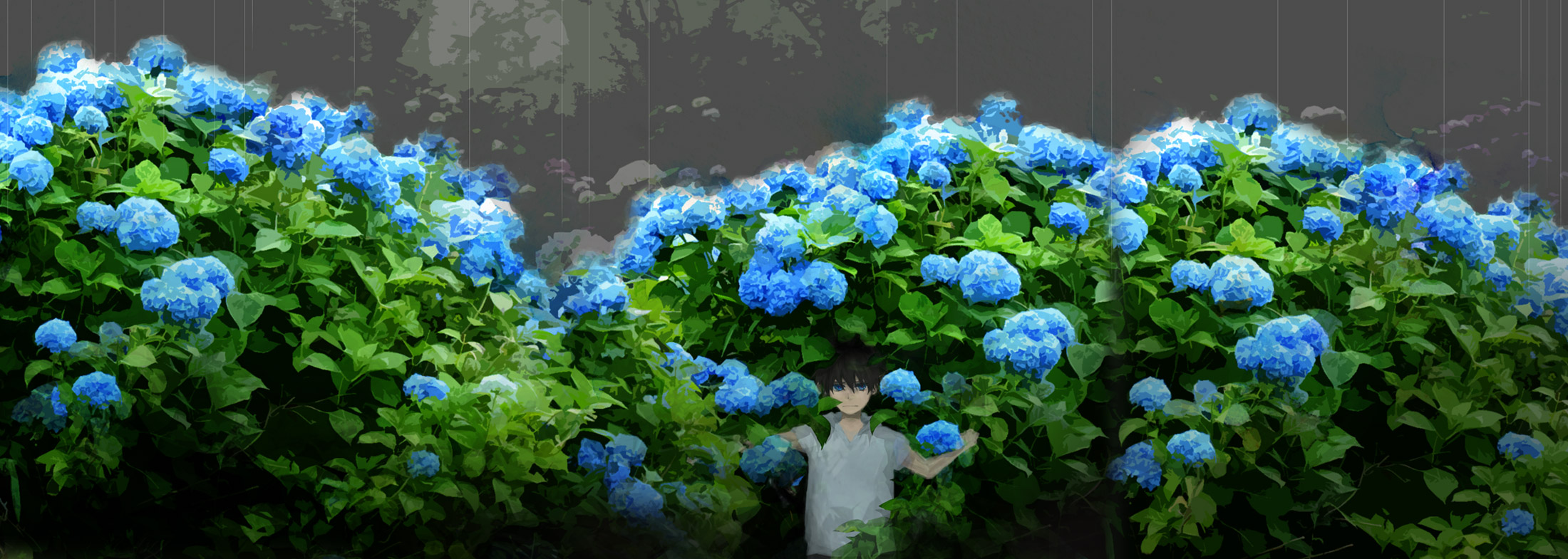 Hình ảnh hoa cẩm tú cầu Anime dễ thương