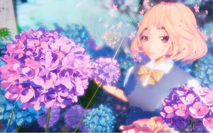 Hình ảnh hoa Cẩm Tú Cầu anime tuyệt đẹp