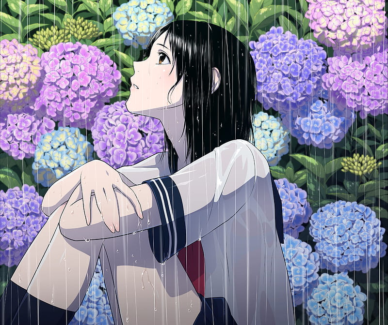 Hình ảnh hoa cẩm tú cầu buồn Anime