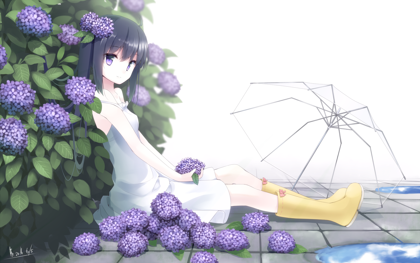 Hình ảnh hoa cẩm tú cầu đáng yêu Anime đẹp