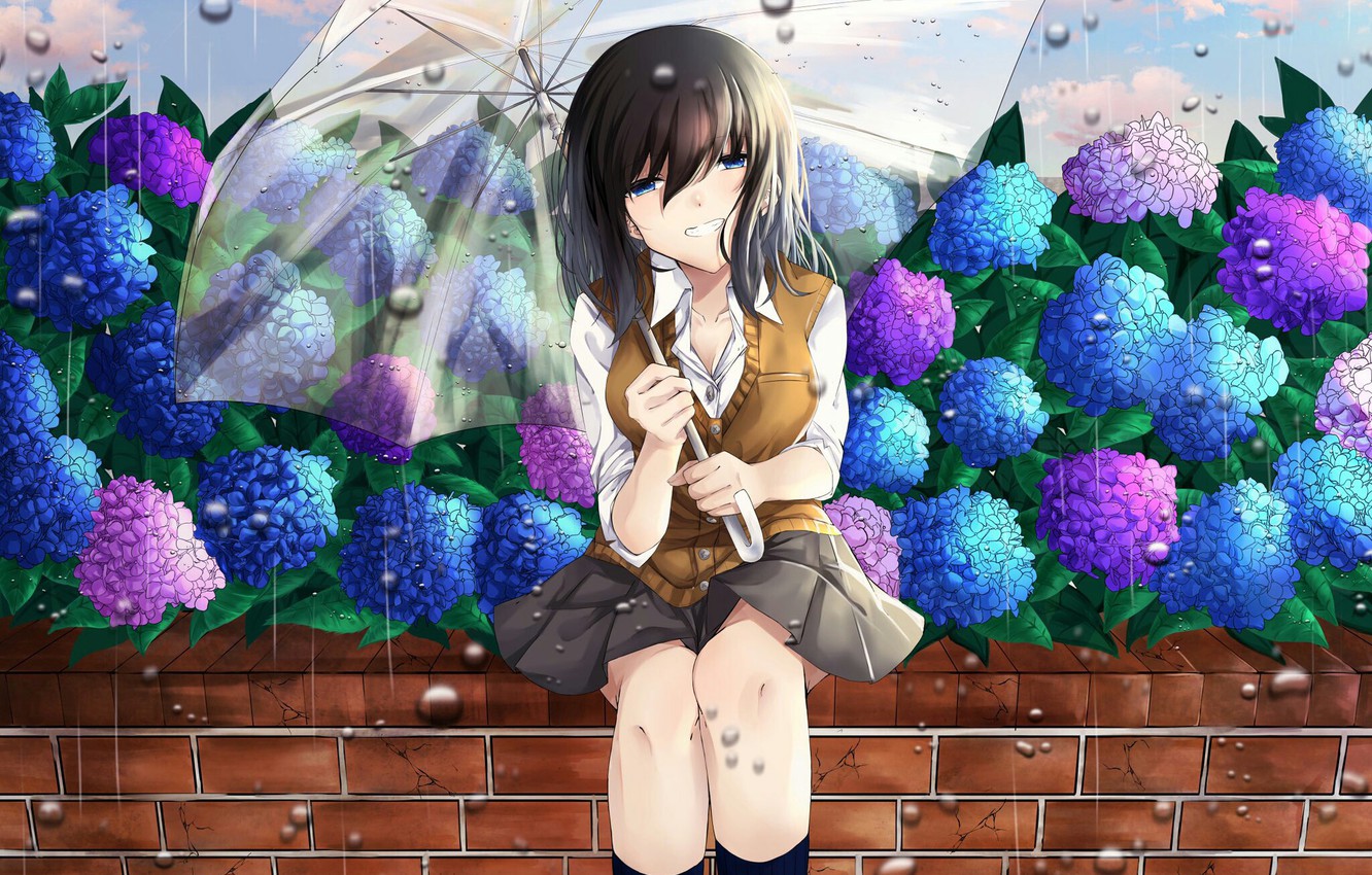 Hình ảnh hoa cẩm tú cầu tím Anime cực đẹp