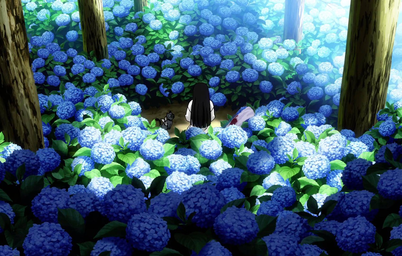 Hình ảnh vườn hoa cẩm tú cầu Anime đẹp