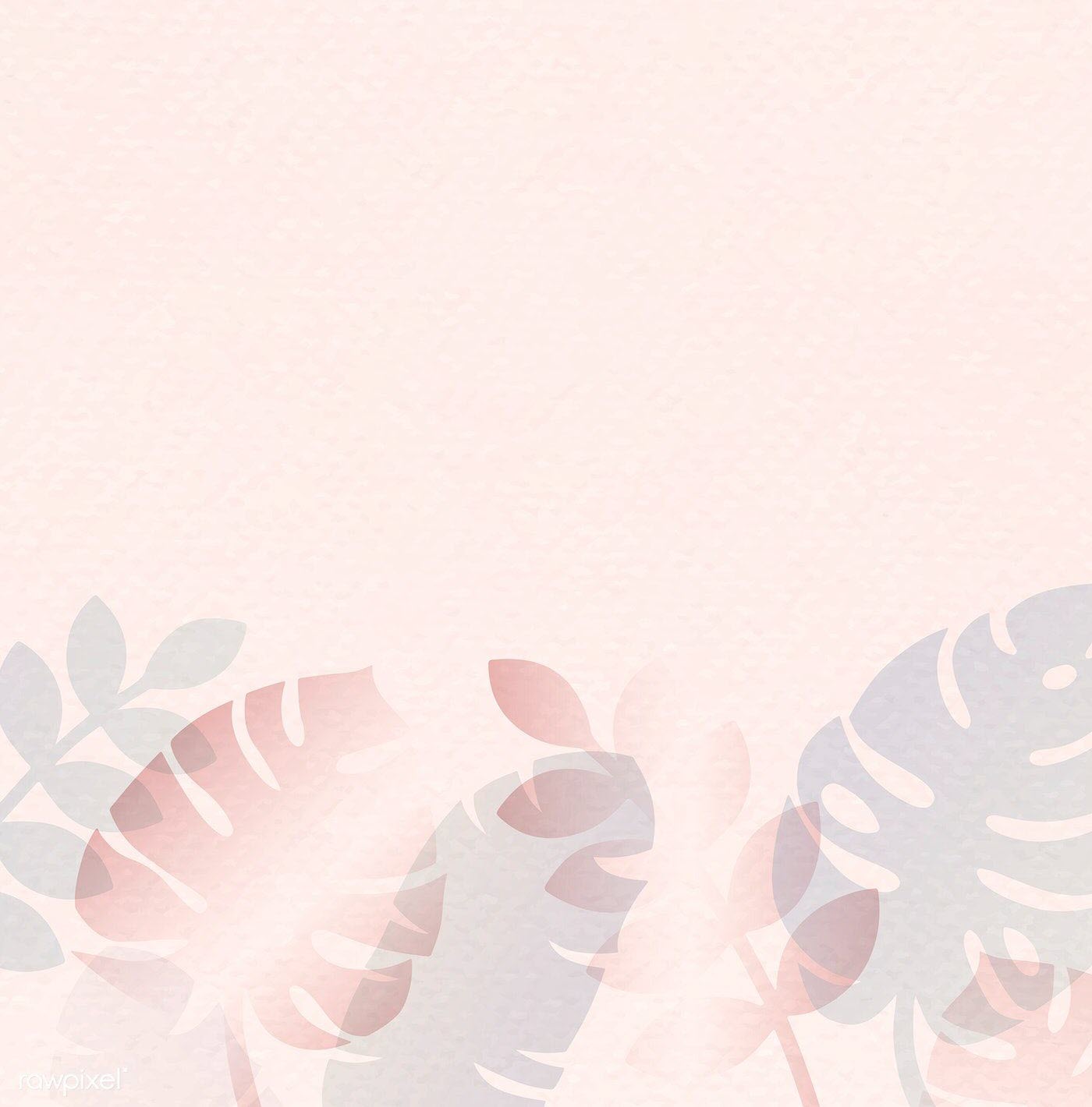 Background hồng pastel cute