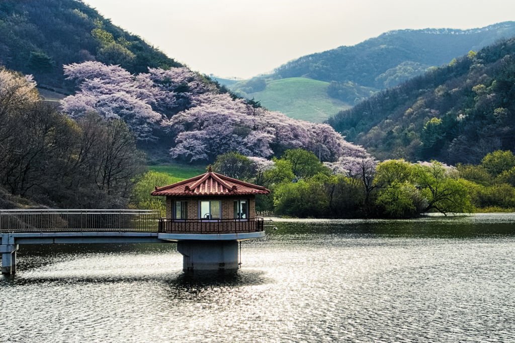 Background phong cảnh Hàn Quốc