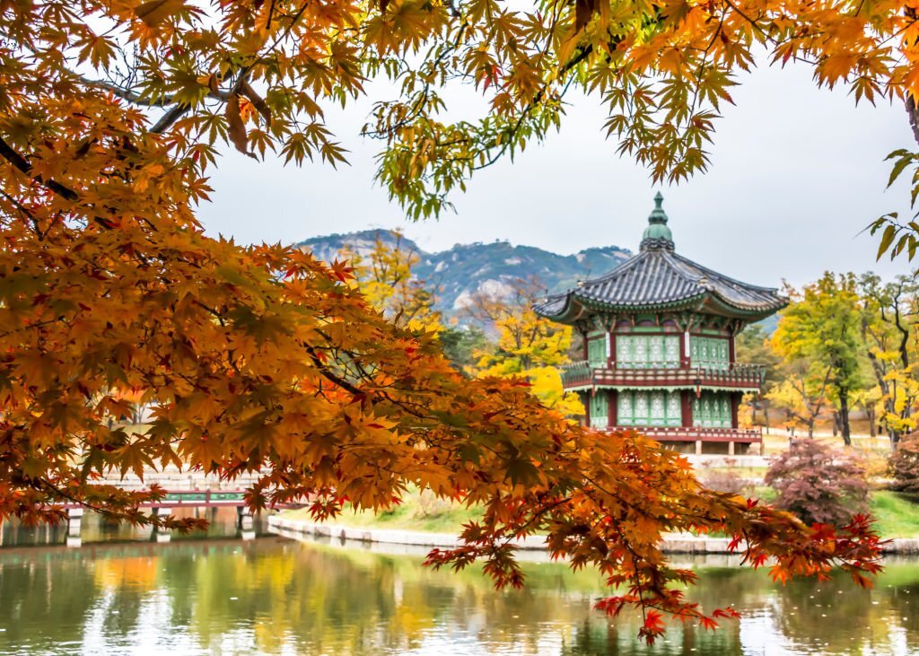 Mẫu background Hàn Quốc mùa thu