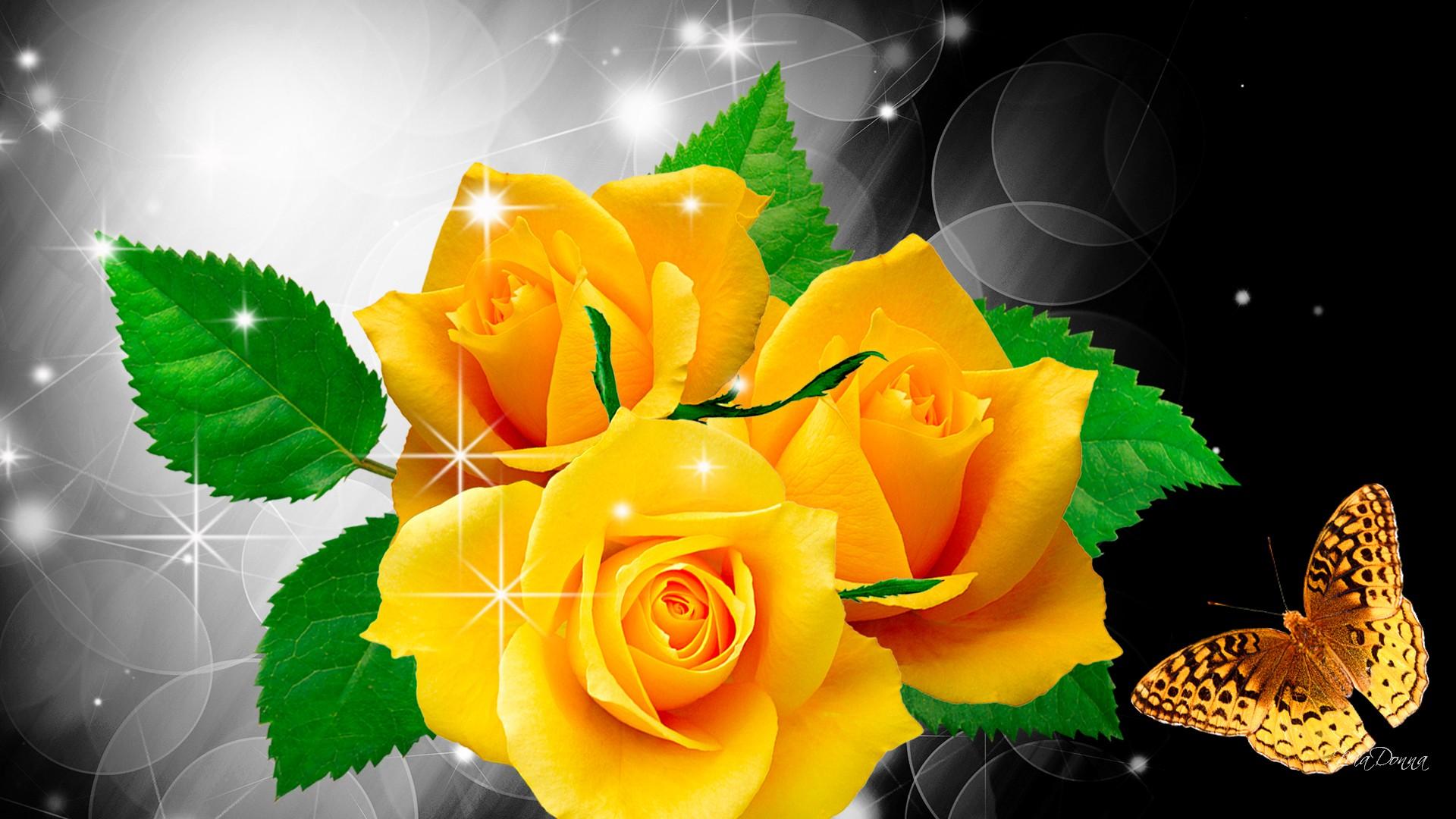 Ảnh nền bông hồng vàng 3D