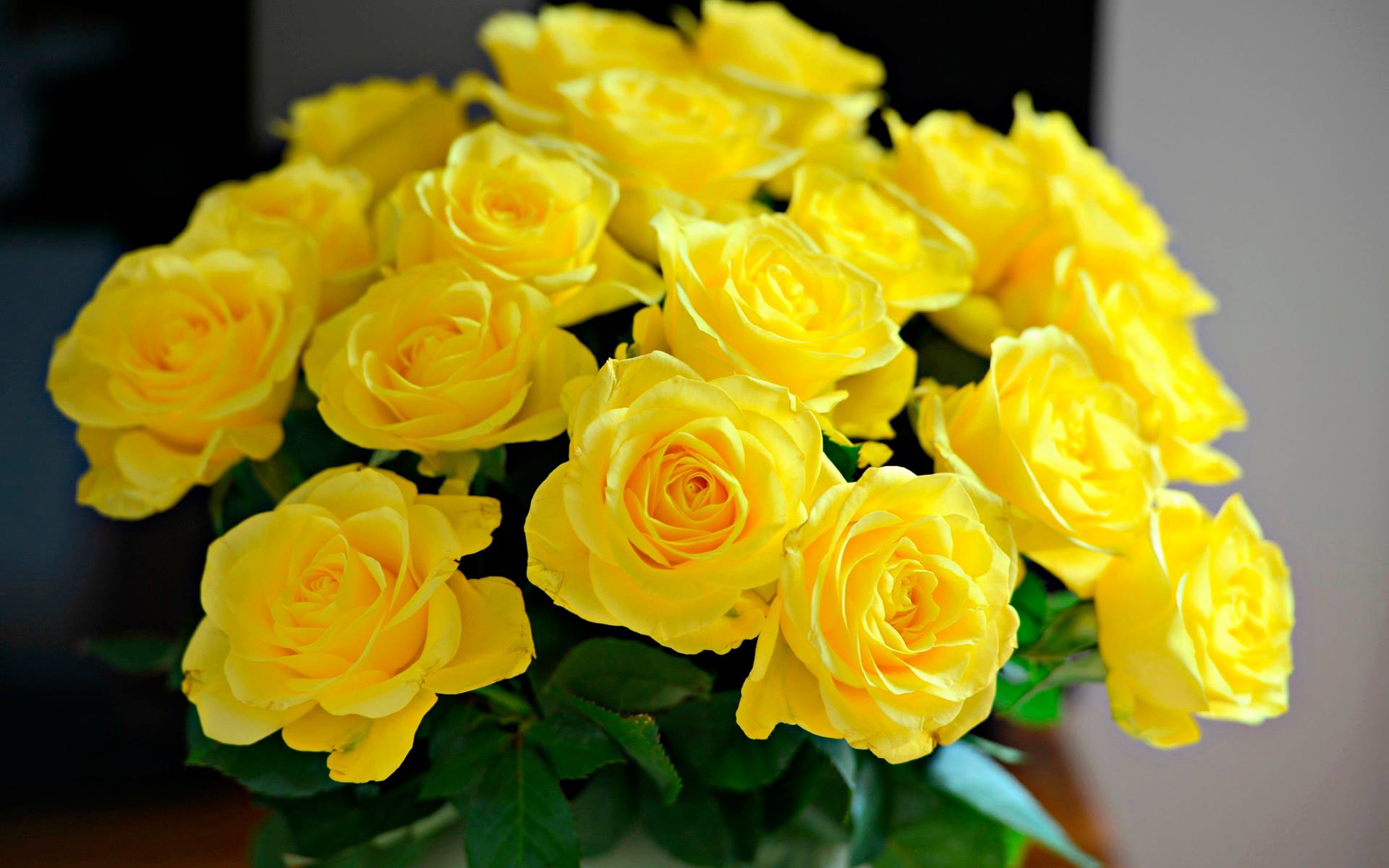 Hình nền bó hoa hồng màu vàng