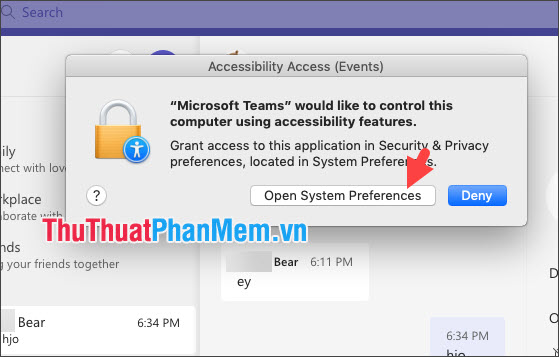 Click Open System Preferences