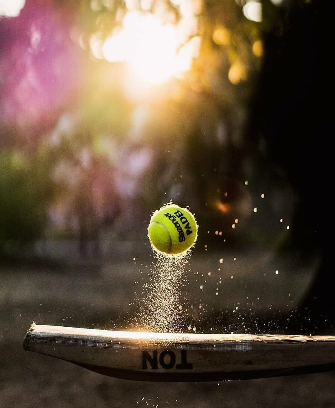 Background bóng Tennis bật