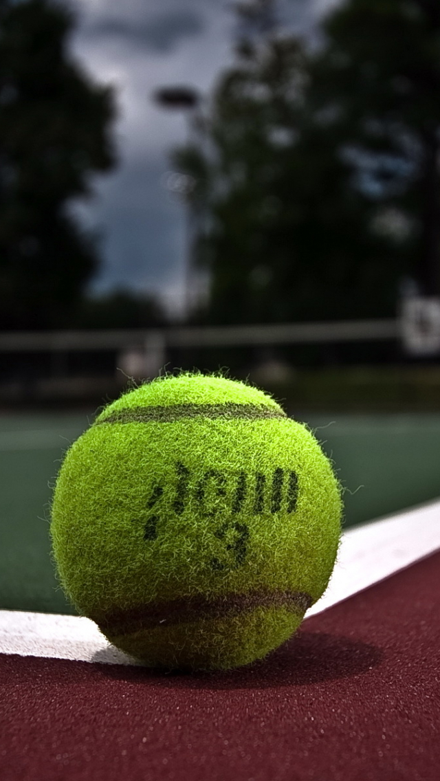 Background bóng Tennis đơn giản đẹp