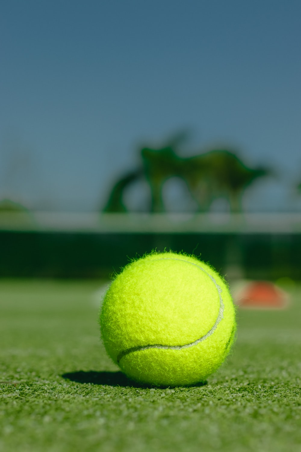 Background bóng Tennis xanh lá cực đẹp