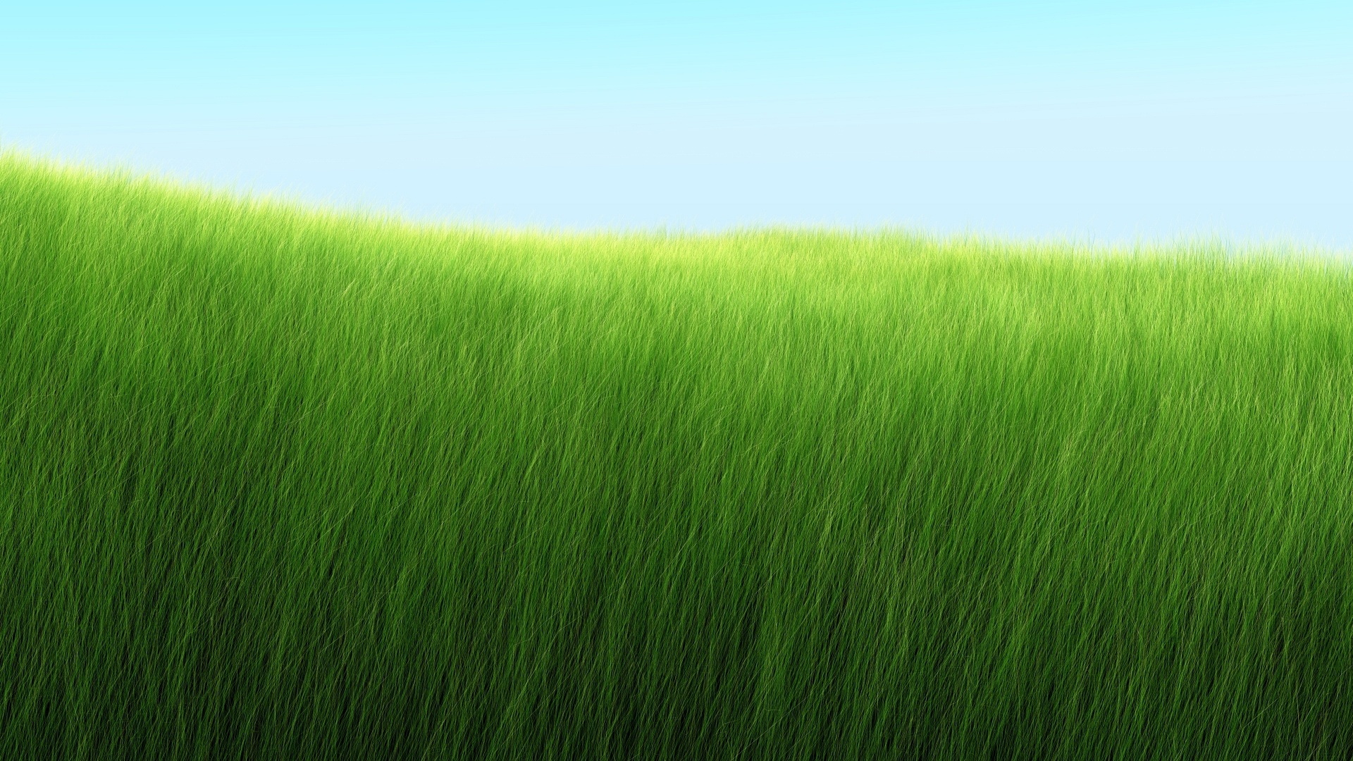 Background cỏ xanh ngát đẹp