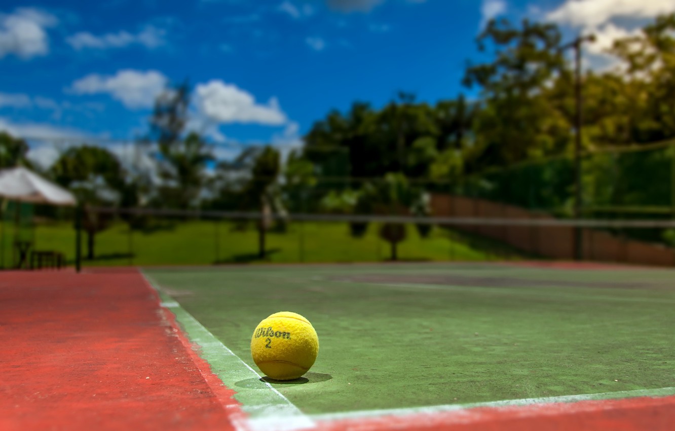 Background sân bóng Tennis