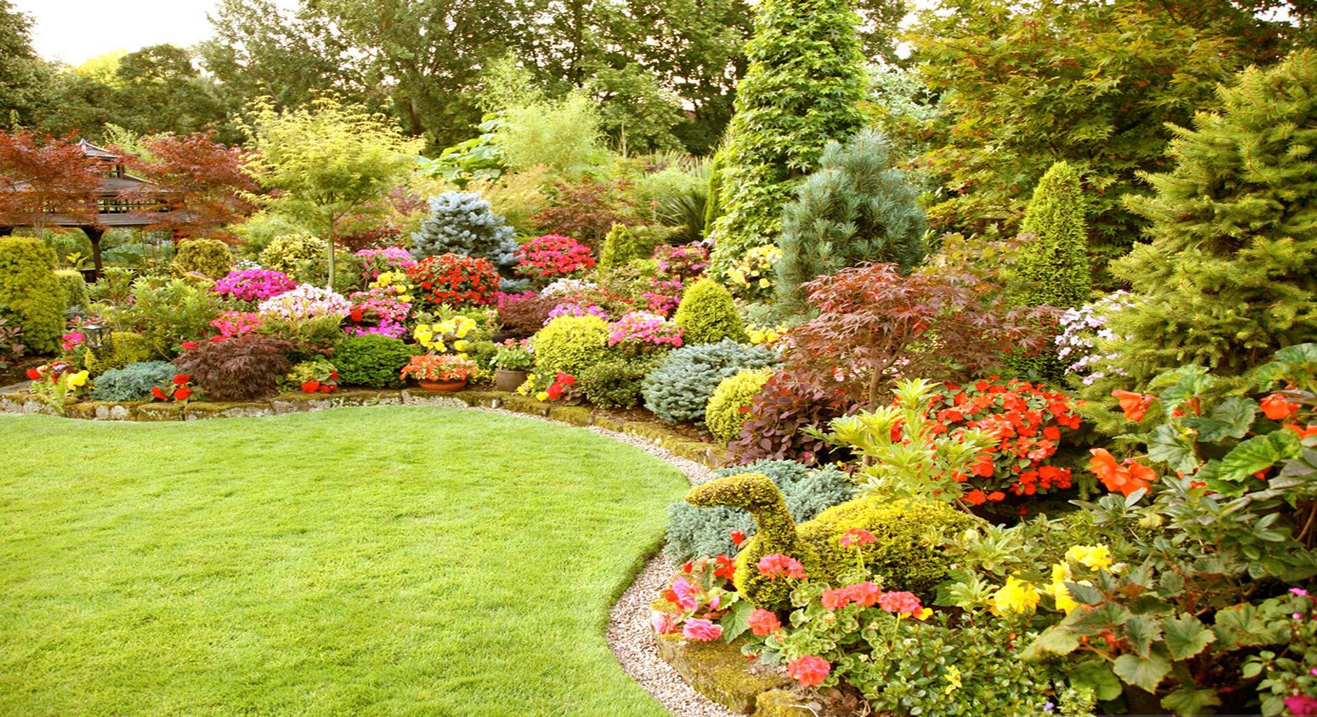Background sân vườn đơn giản đẹp nhất