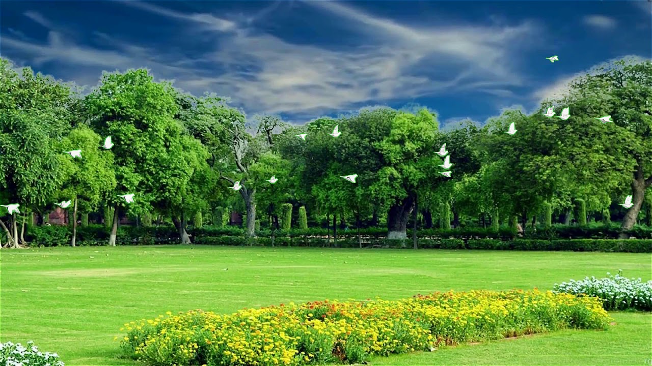 Background sân vườn trời xanh