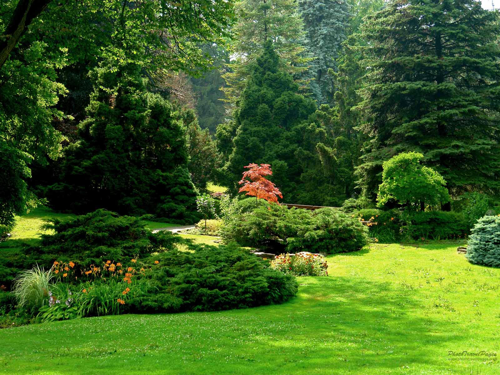 Background vườn cây xanh đẹp