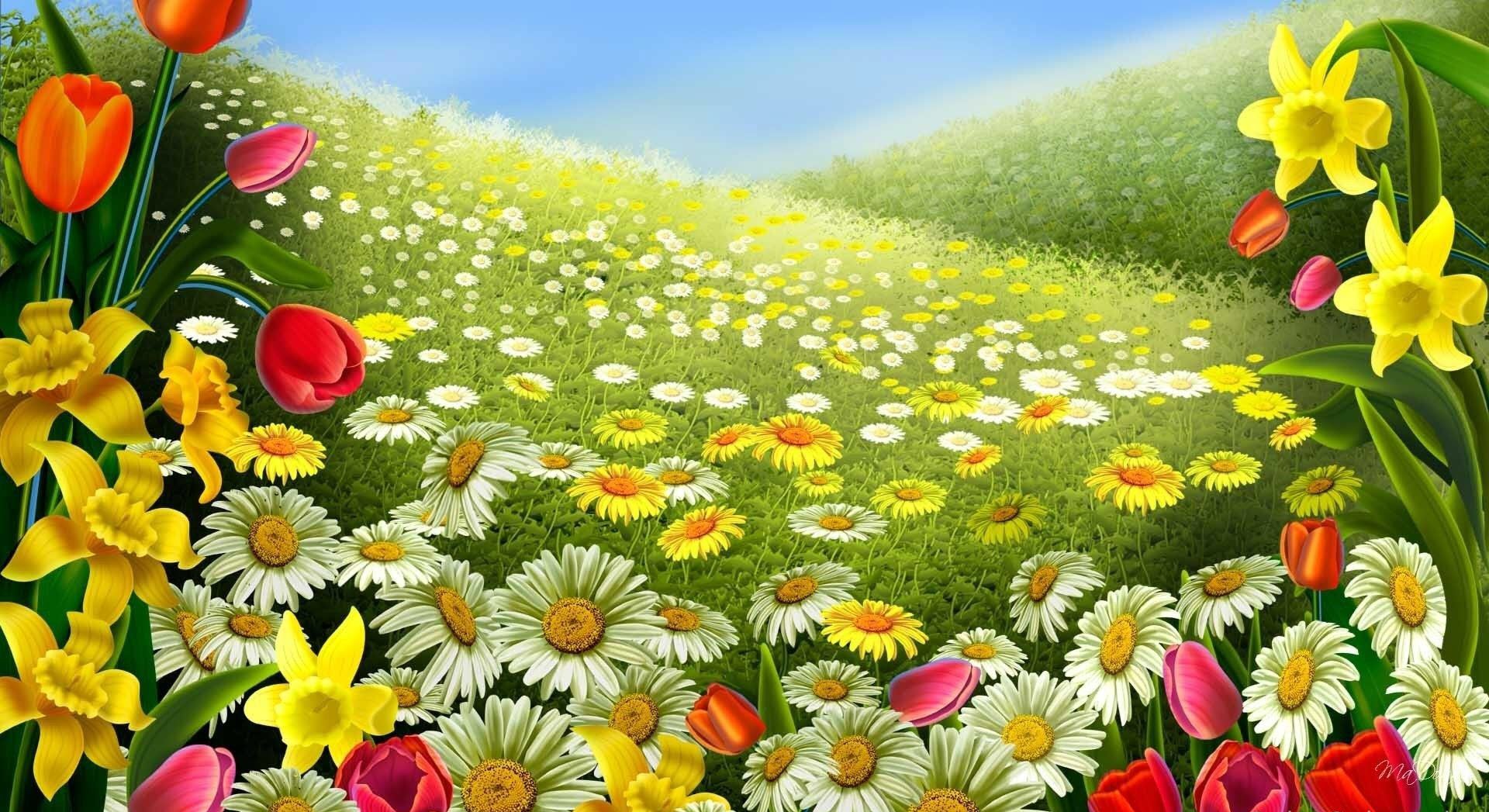 Background vườn hoa sắc màu