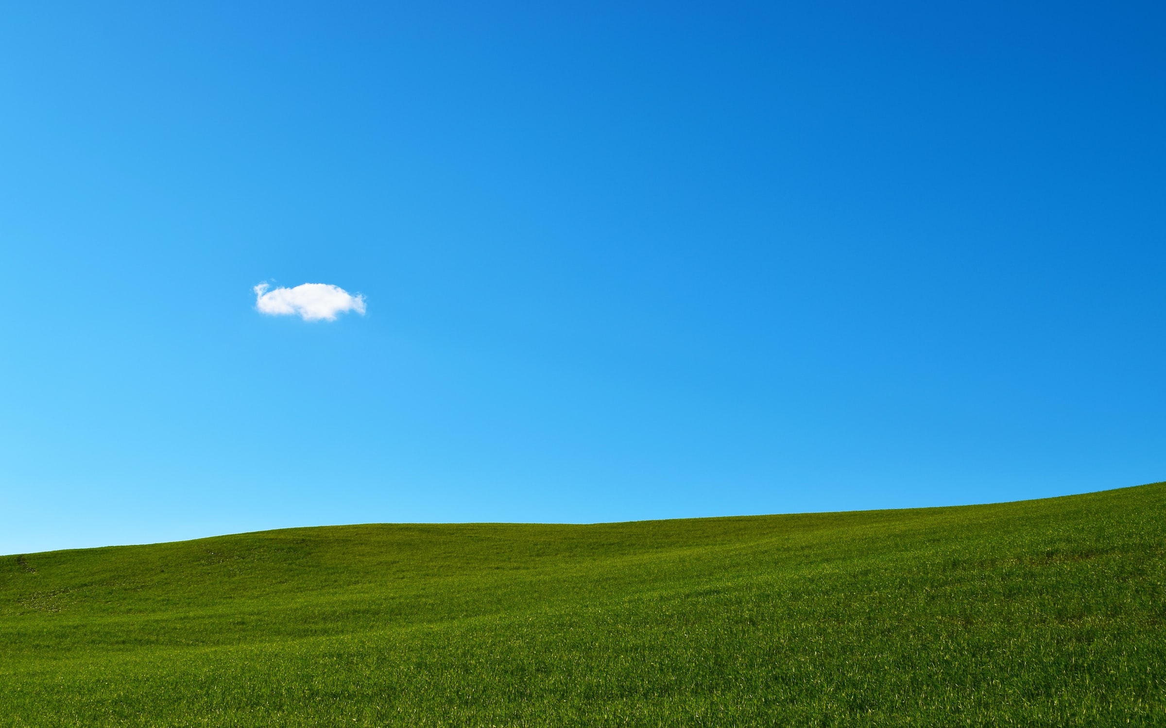 Hình nền đồng cỏ Windows XP cực đẹp