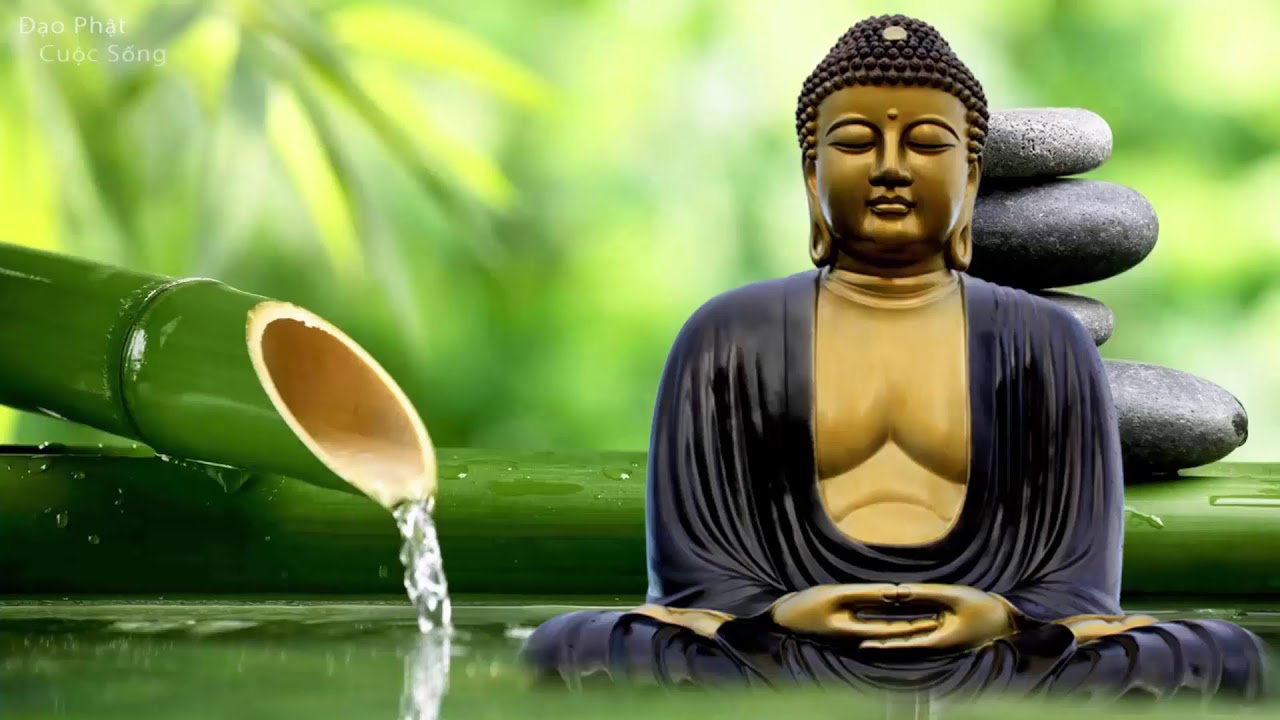 Ảnh Phật ngồi thiền bình tĩnh đẹp