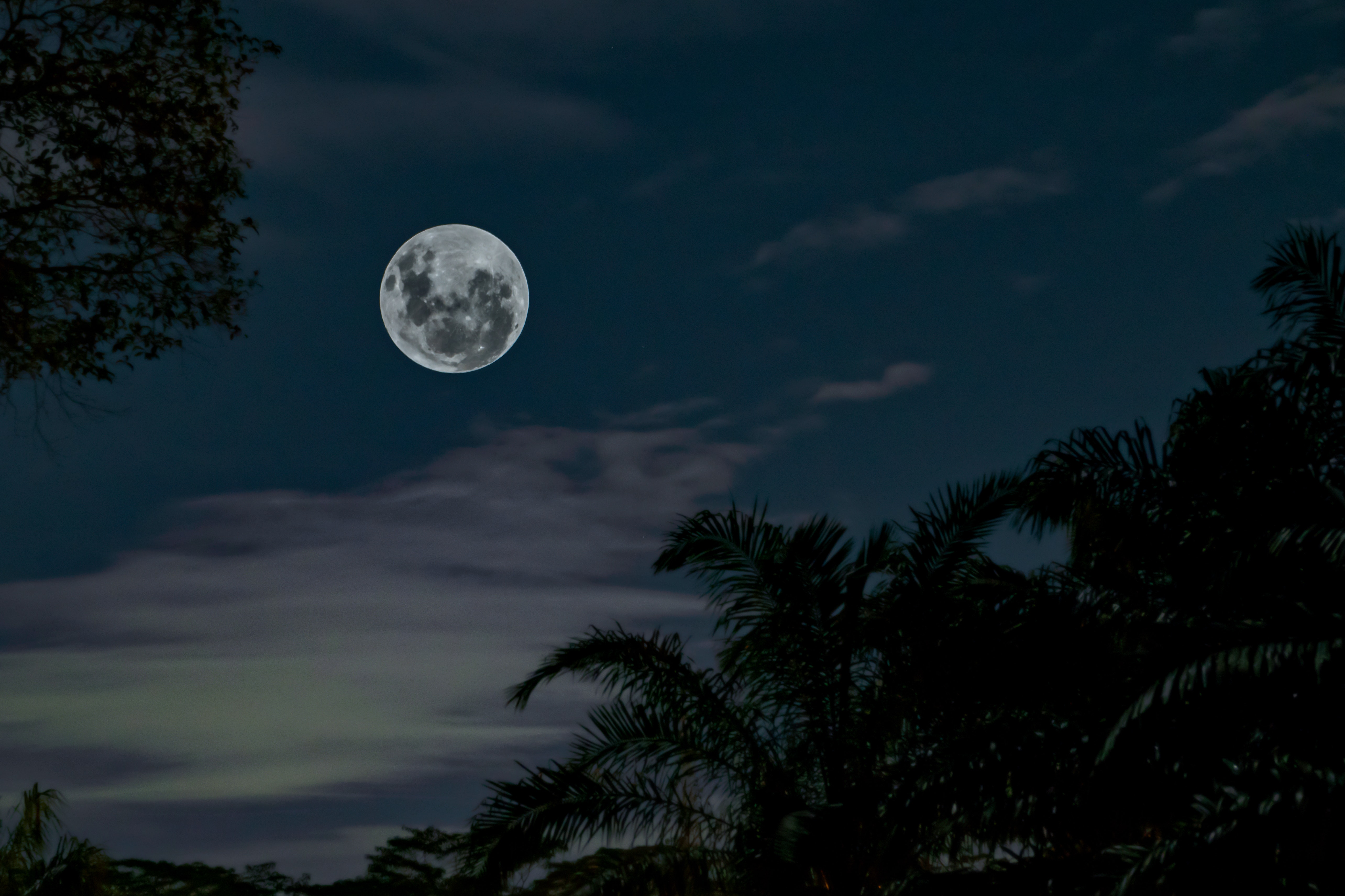 Hình ảnh mặt trăng tròn ban đêm
