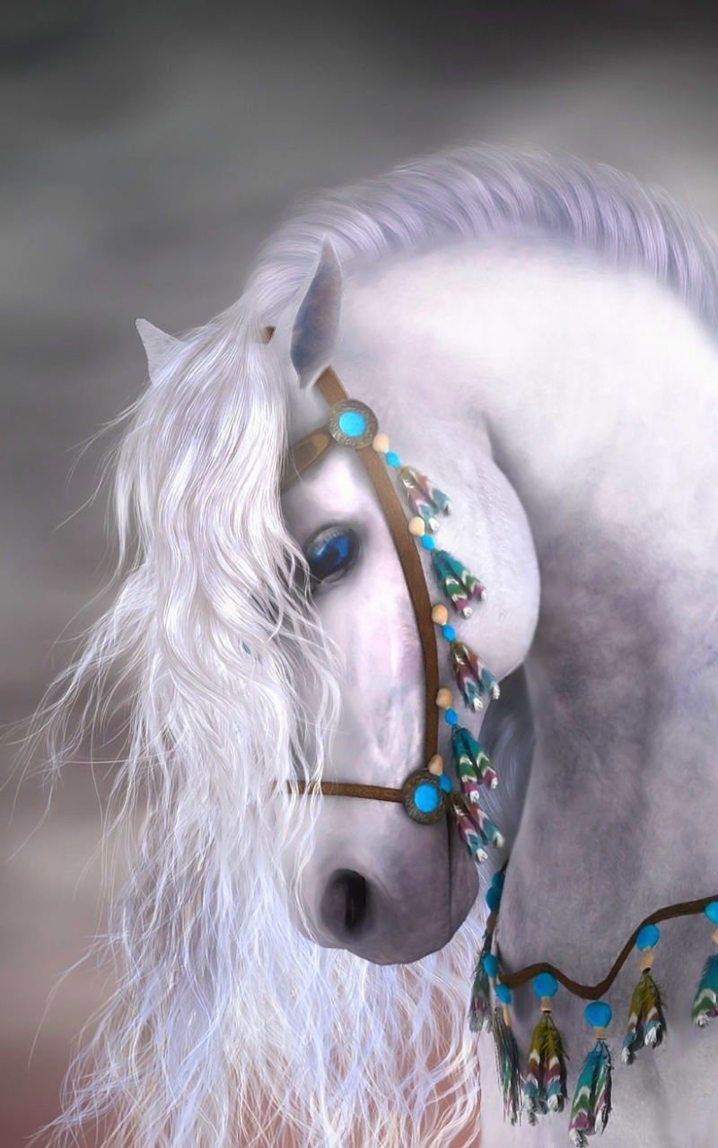 Hình nền ngựa White dễ thương HD